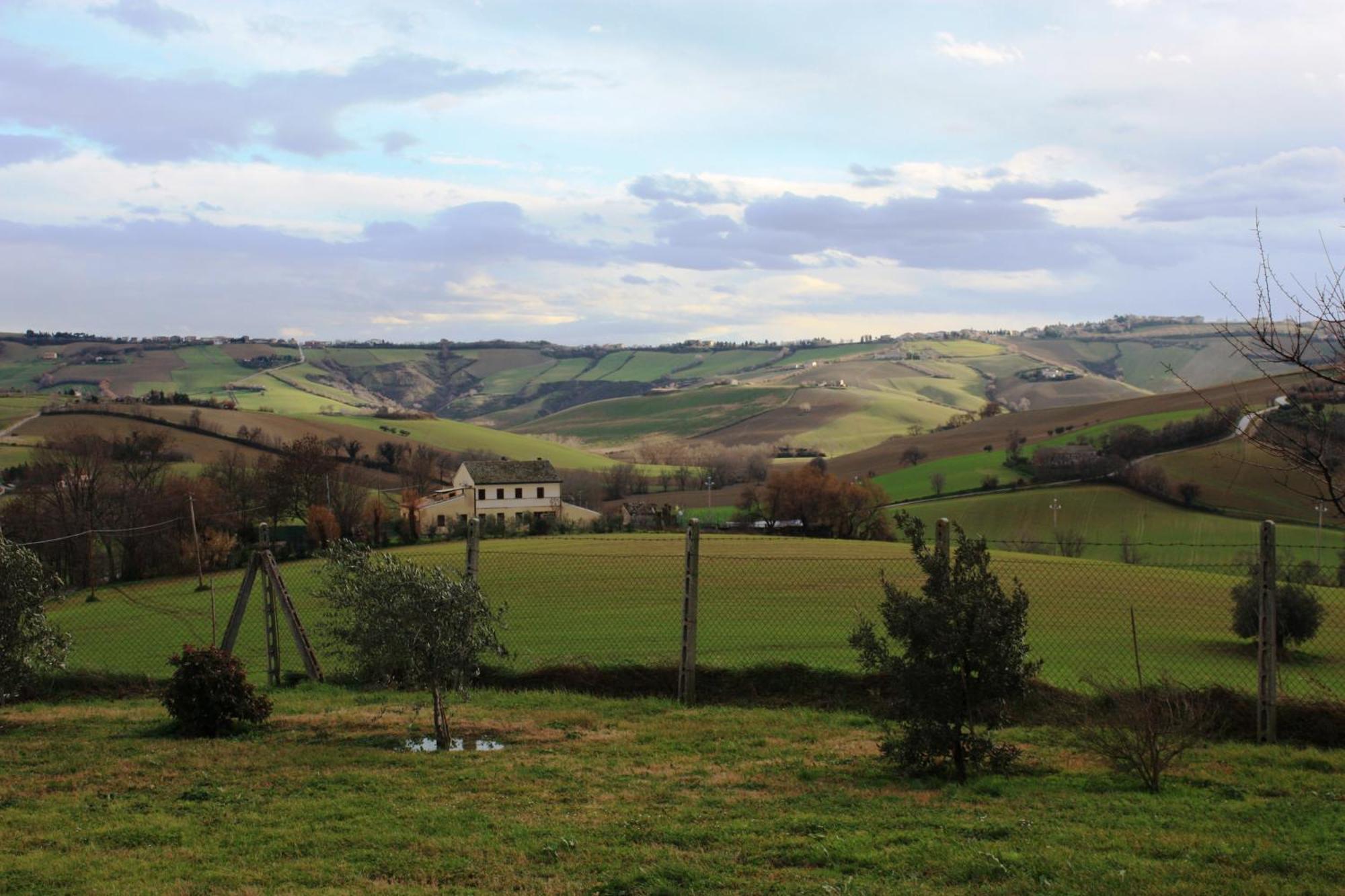 B&B Aesis La Dolce Collina Jesi Esterno foto