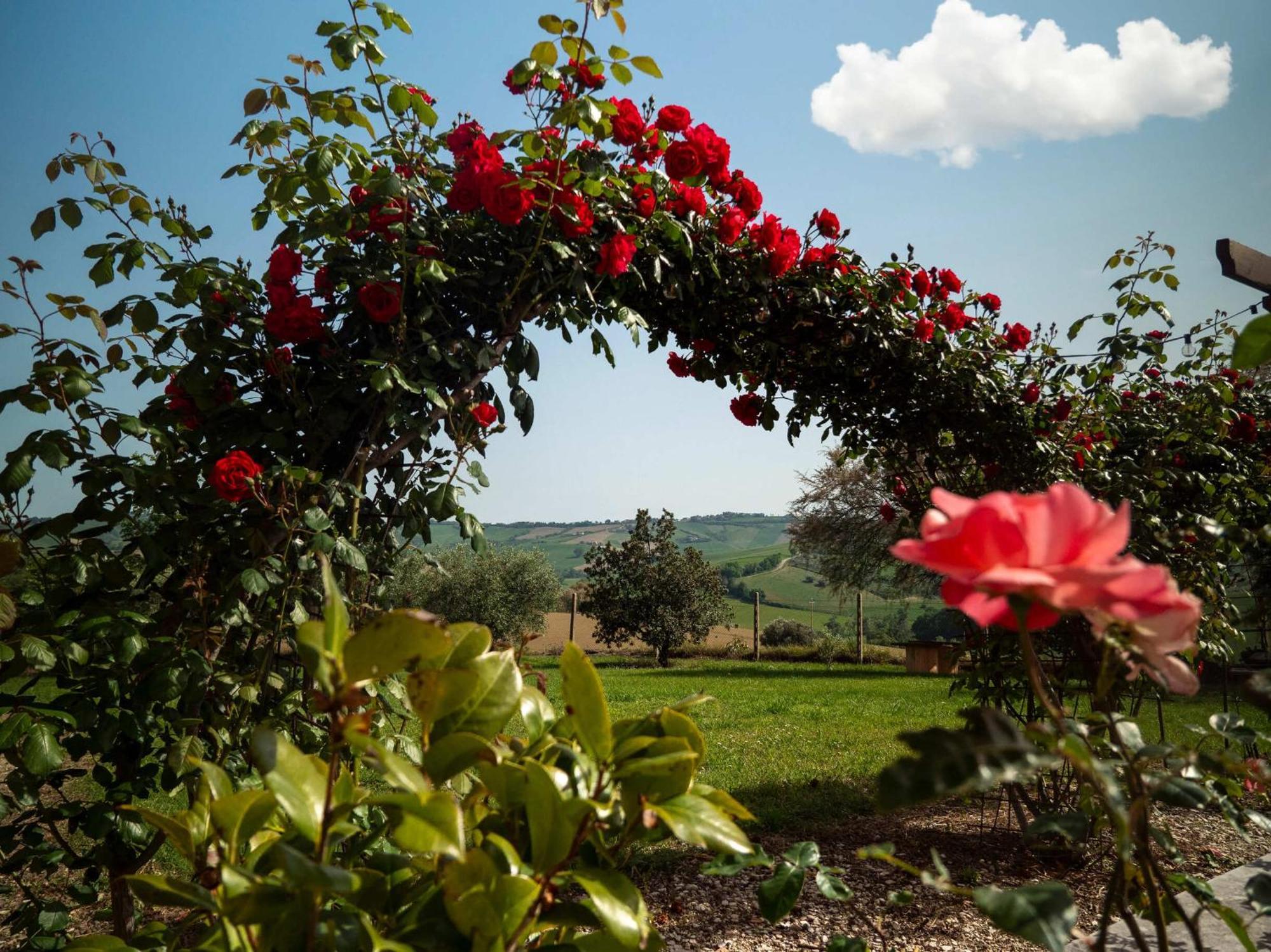 B&B Aesis La Dolce Collina Jesi Esterno foto