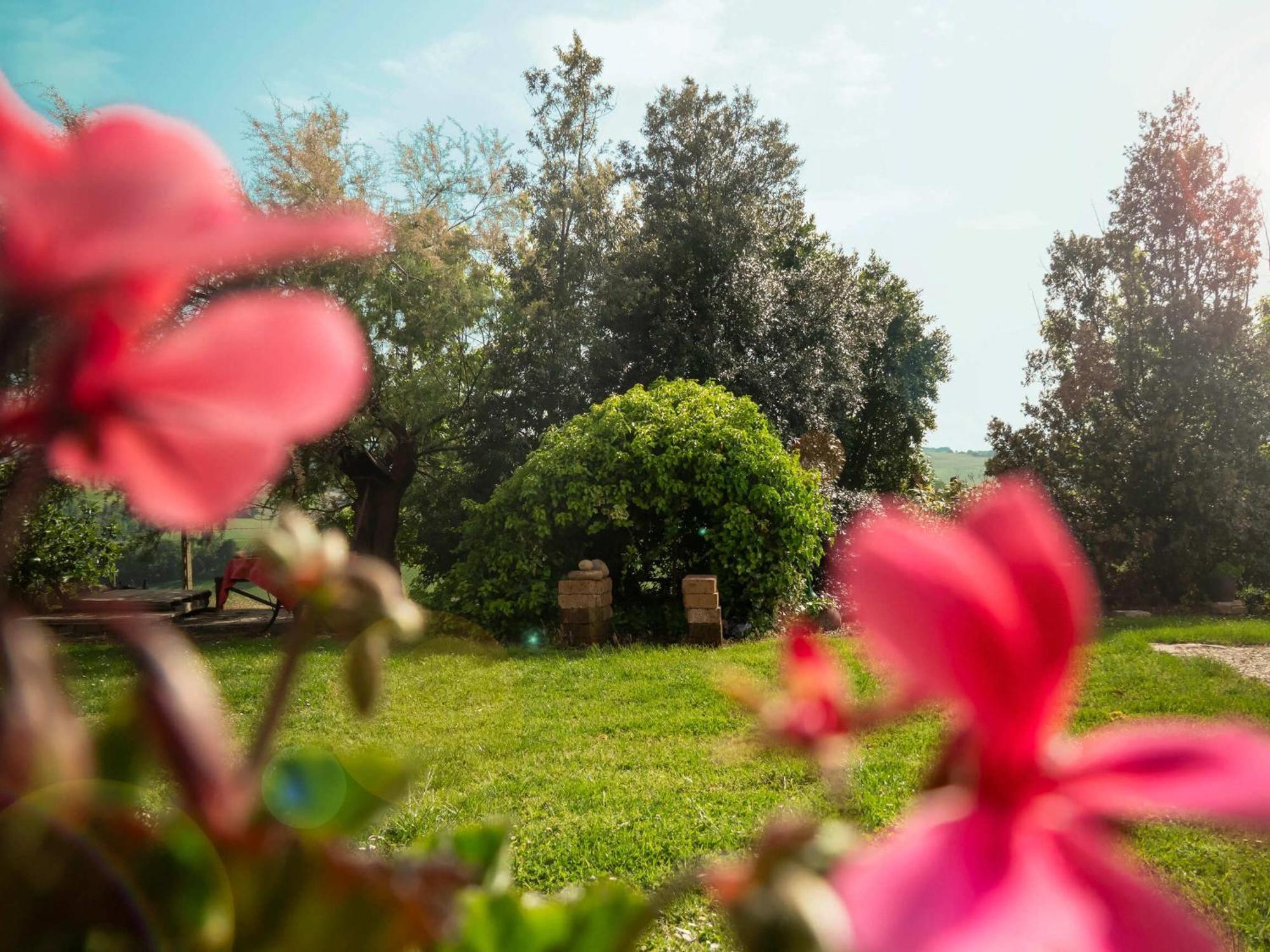B&B Aesis La Dolce Collina Jesi Esterno foto