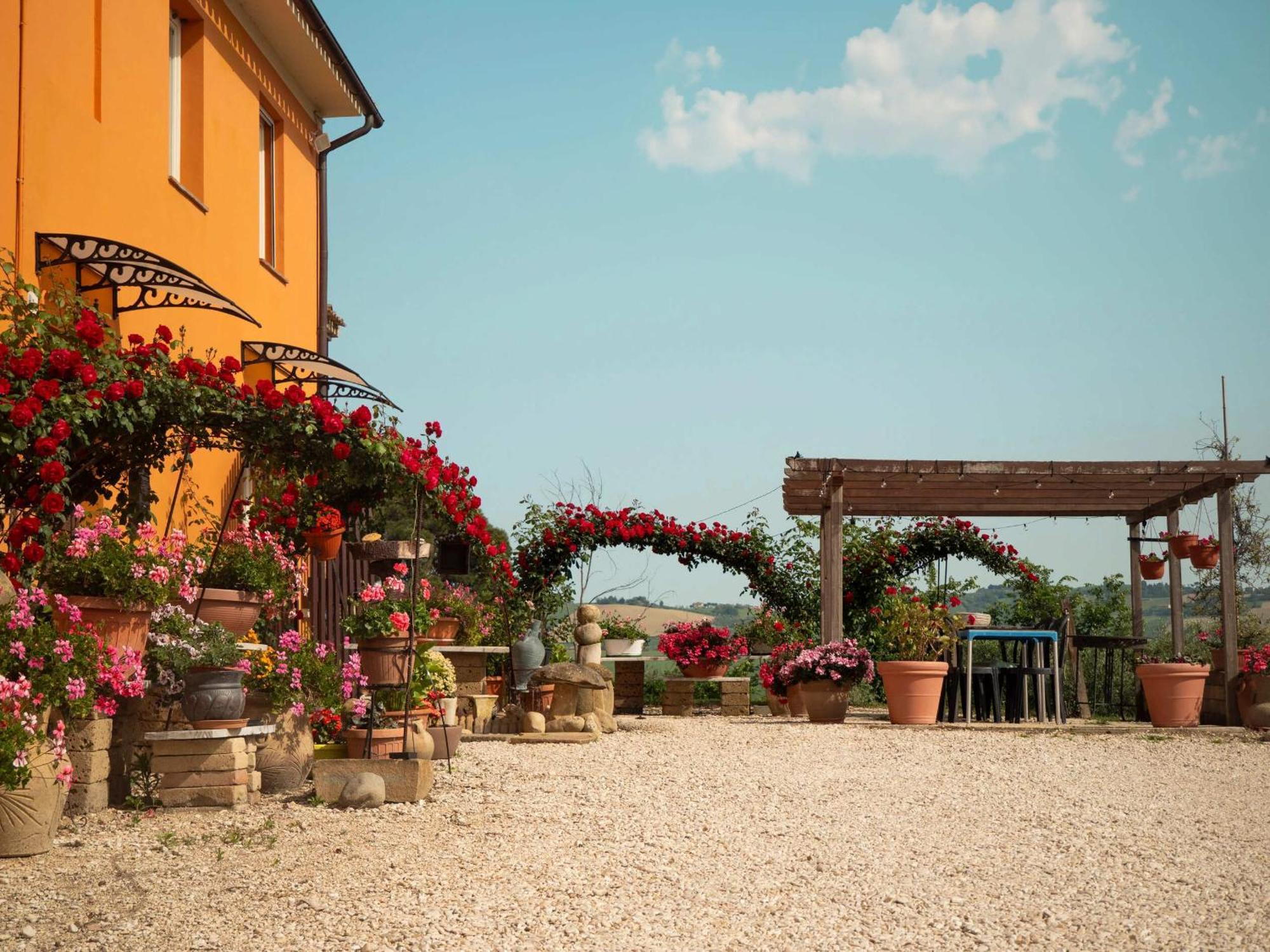 B&B Aesis La Dolce Collina Jesi Esterno foto